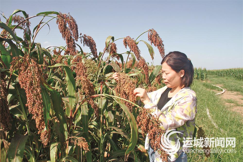 万荣县食品安全,万荣房屋地基加固处理