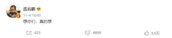 岳云鹏患脂肪瘤后暴瘦,岳云鹏手术恢复