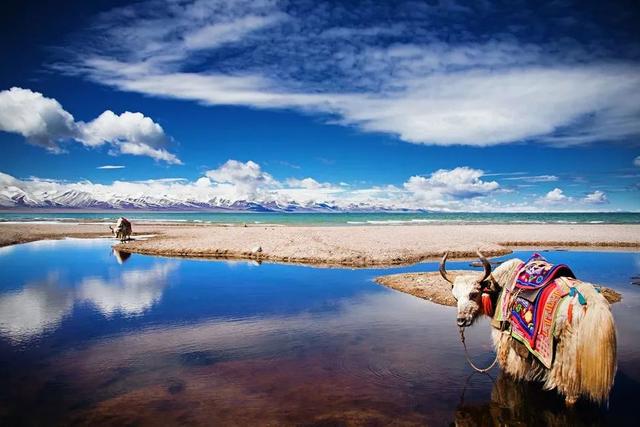 全国各省武器特产一览表辽宁,中国各地特产有哪些