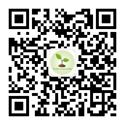 chrome插件谷歌访问助手,谷歌访问助手在哪里下