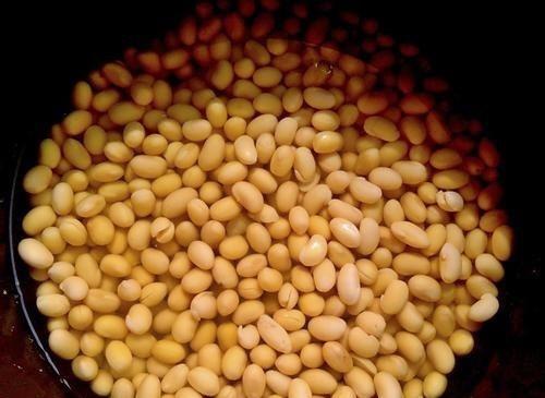 吃过大鱼大肉，独爱丰县老家的“咸豆子”