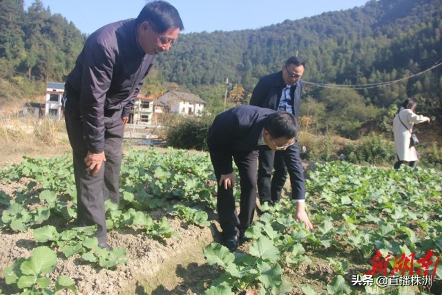 待到山花烂漫时诗文,待到山花烂漫时革命英烈