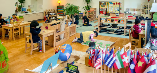 李湘女儿读幼儿园,李湘女儿幼儿园学费