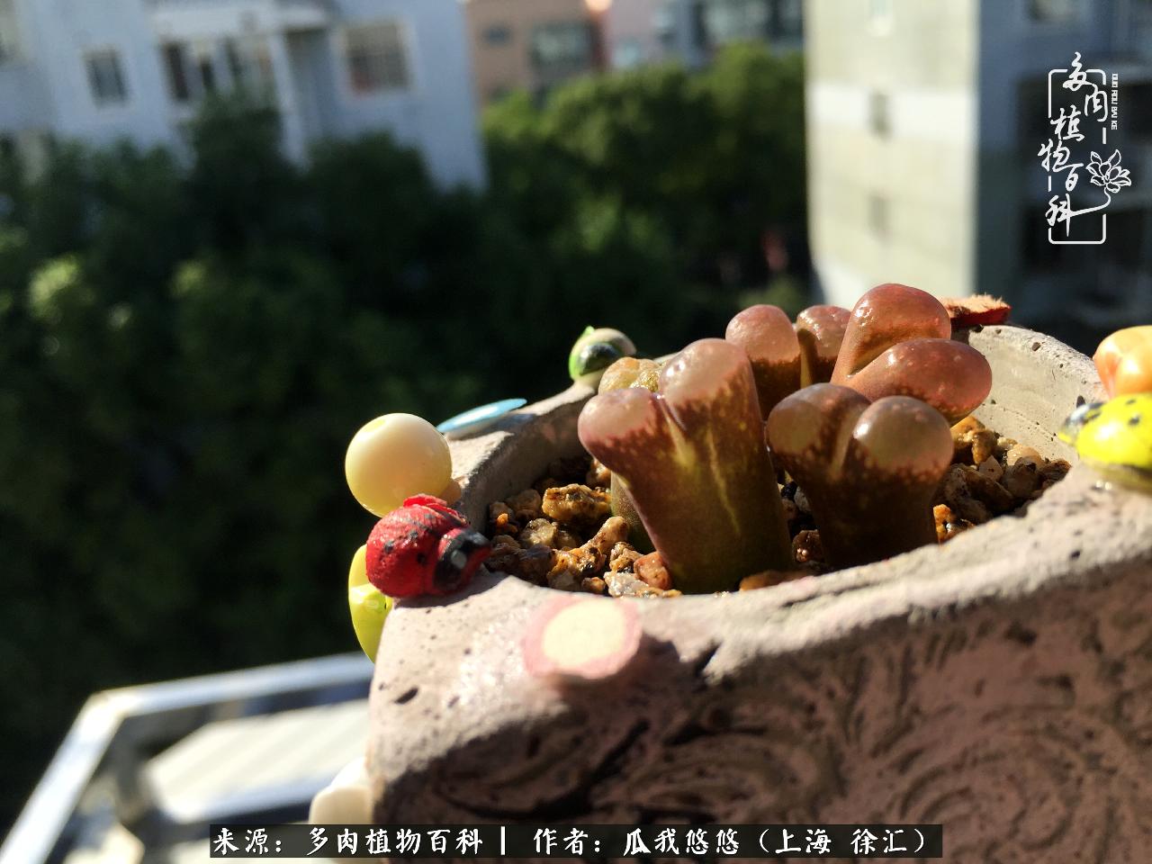 享受岁月,享受岁月静好歌曲原唱