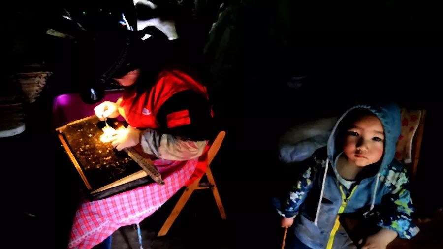 这罐天然的“净化器”，每吃一次，整个人都神清气爽