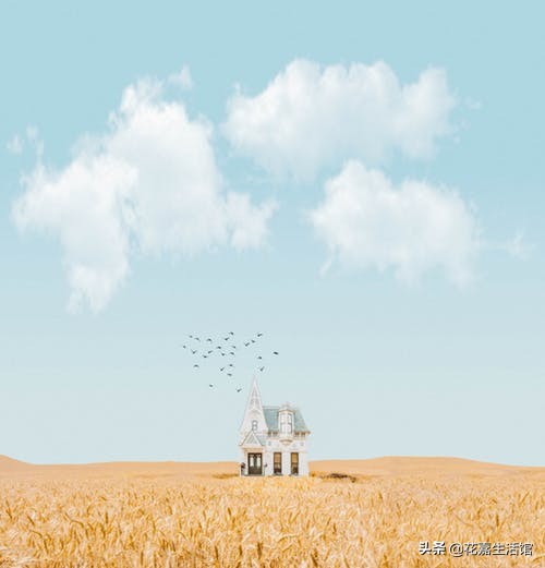 芒种收获幸福种下希望,芒种收获及感悟