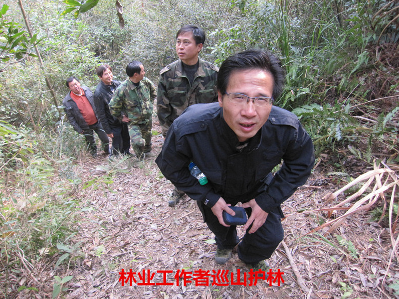 林业礼赞——世界最后一滴水将是人类的眼泪吗