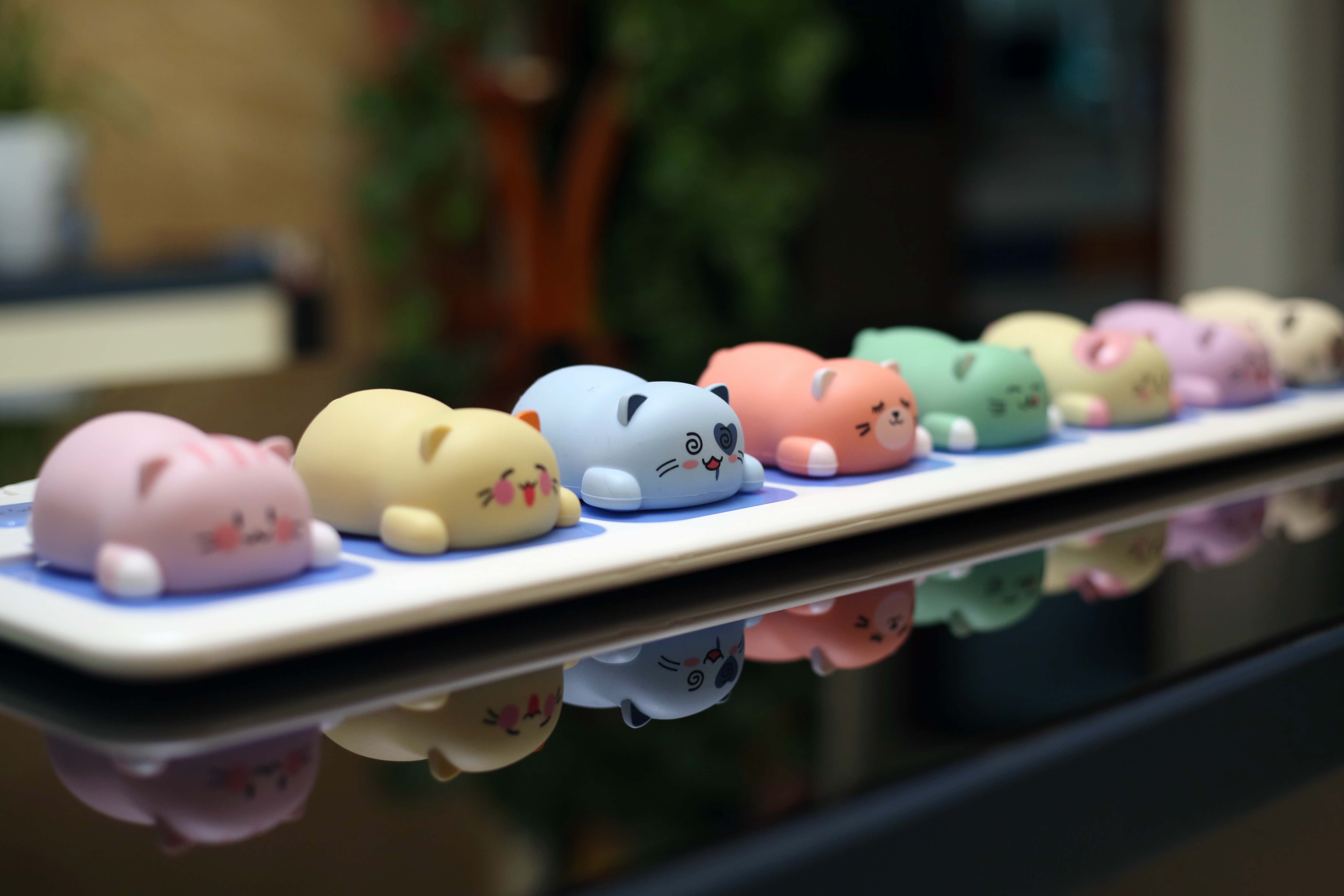 适合撸猫的猫咪,撸猫爱好者