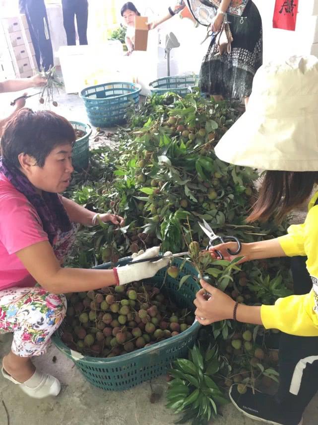 一个月亏损5万的民宿,民宿老板们辟谣1个月赚回3年亏损