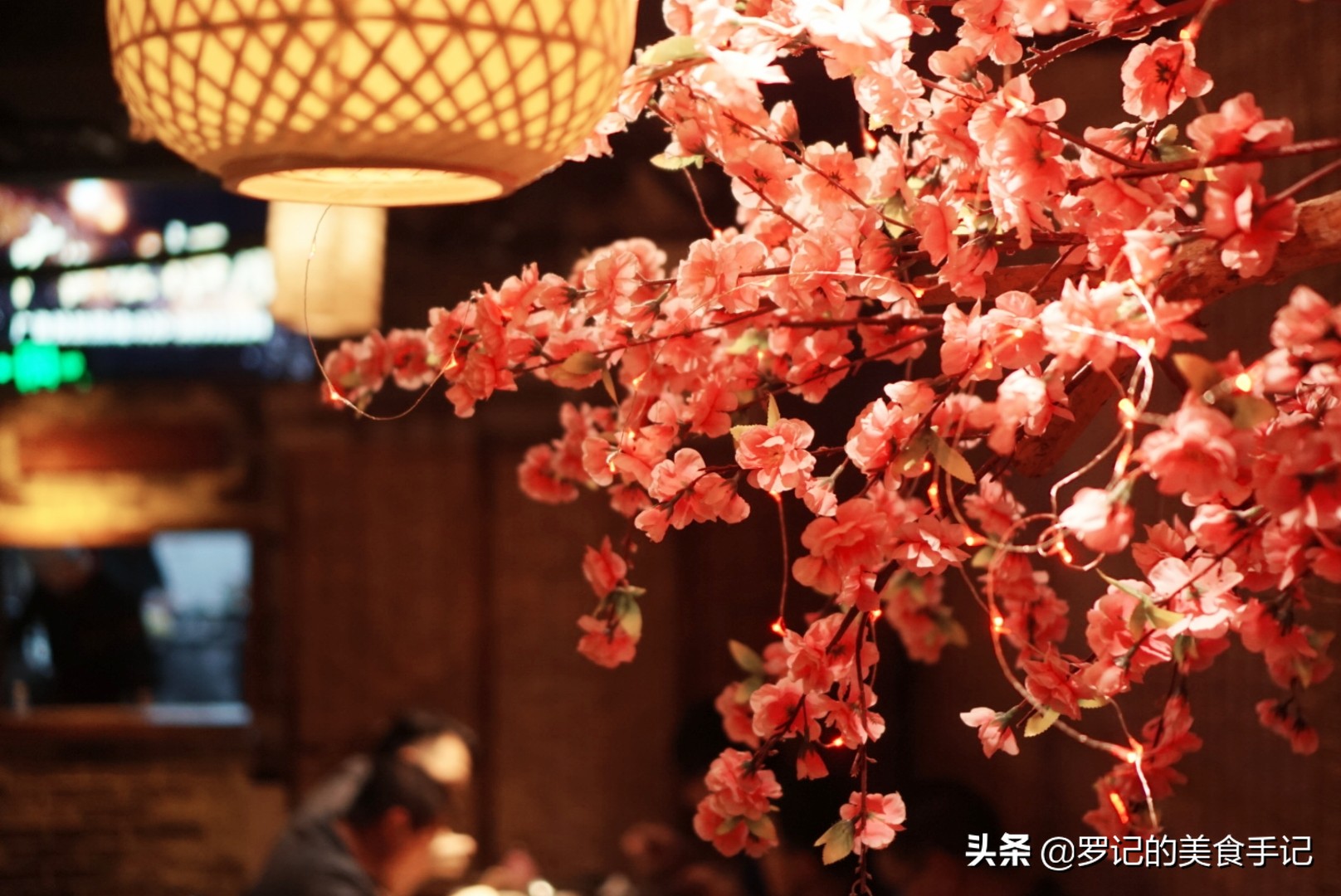 未赏三生三世十里桃花,却走进了这青丘…夜访体育西的这个小酒馆