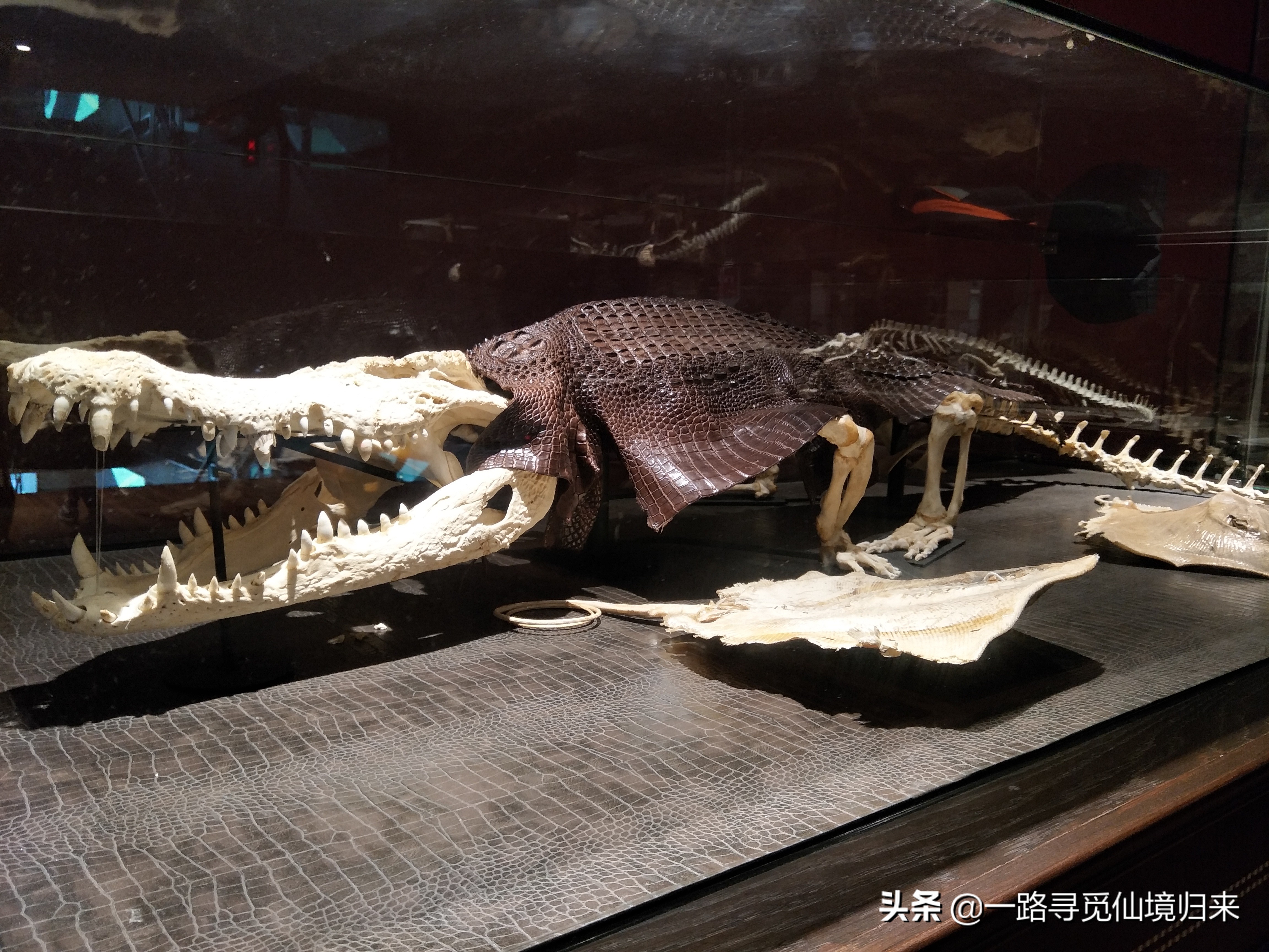 泰国旅游曼谷芭提雅6日游双飞,泰国曼谷芭提雅清迈10日游线路