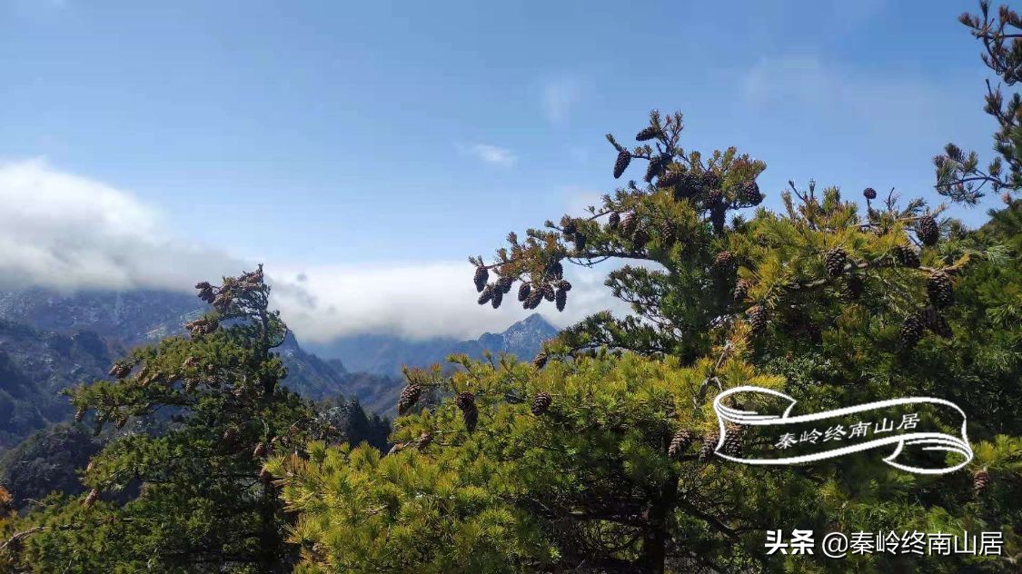 终南太兴山在哪里,太兴山最全登山攻略惊险刺激