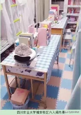 川大宿舍是几人一间,川大一寝室12人全部读研