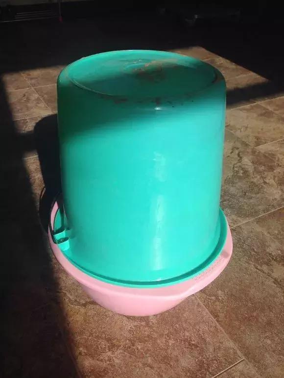 老花匠透露养花秘方,老花匠养花技术视频