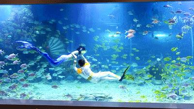 打卡长沙第一网红店,长沙2020打卡排行榜前十名