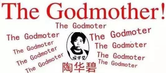 狸花猫在国外真的很少见吗,一只狸花猫的价格