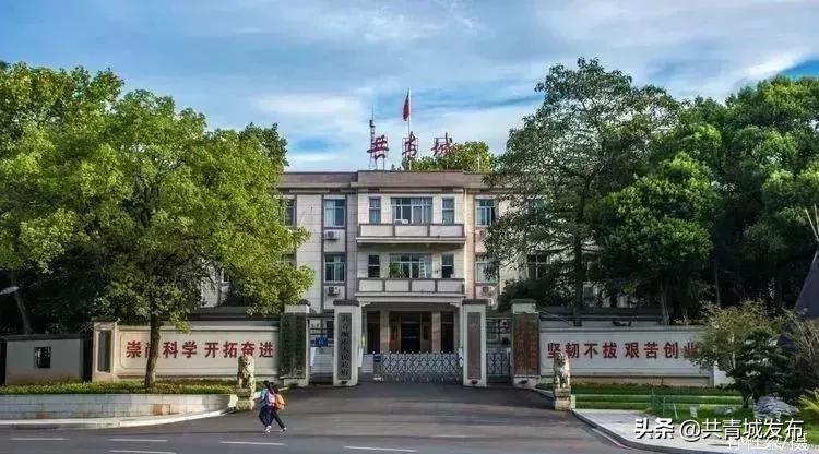 从a到z的成长,从a到z爱上茶的理由