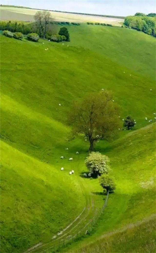 缓解眼睛疲劳壁纸颜色,缓解眼睛疲劳的壁纸高清