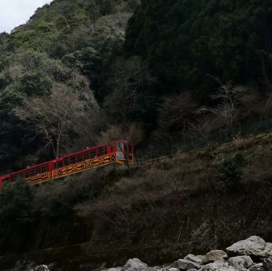 一月份游岚山,岚山哪个地方好玩一日游