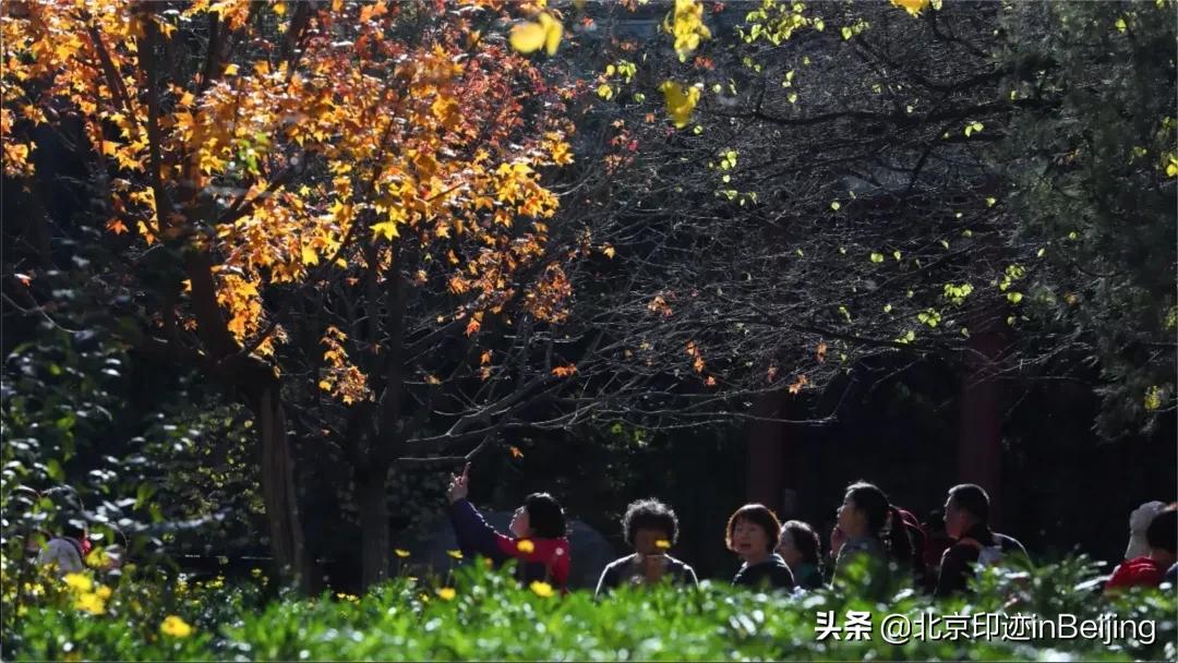 香山静宜园图片大全,香山静宜园二十八景