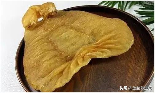 鱼胶知识书籍,鱼胶的知识抖音视频