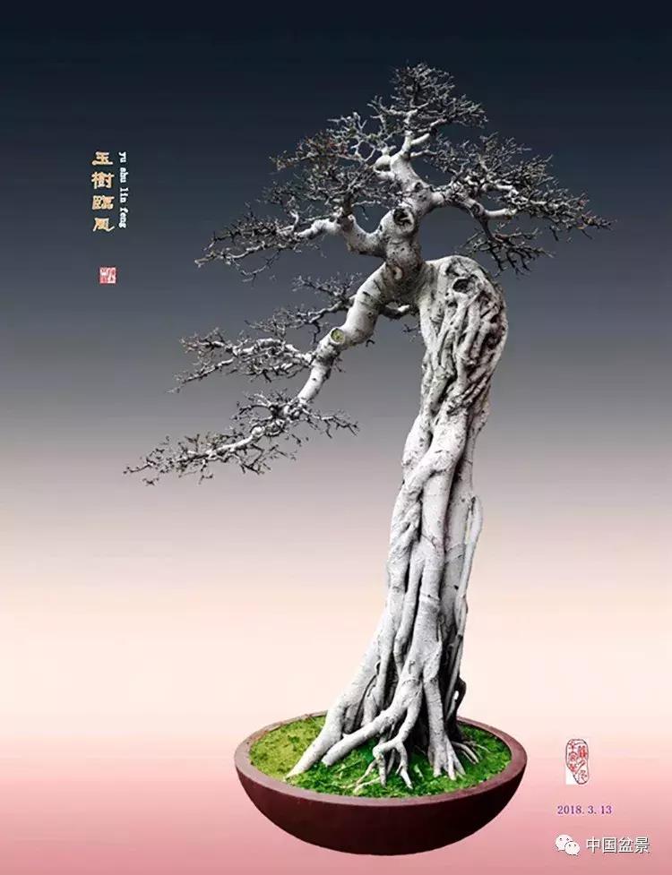 陈文图老师,陈文图盆景欣赏