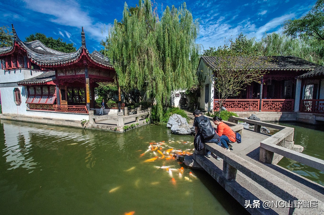 苏州珍珠塔全景图,苏州同里珍珠塔园林