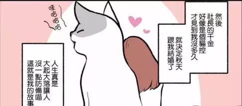 假如自己变成猫是什么体验,从人类变成猫是什么体验