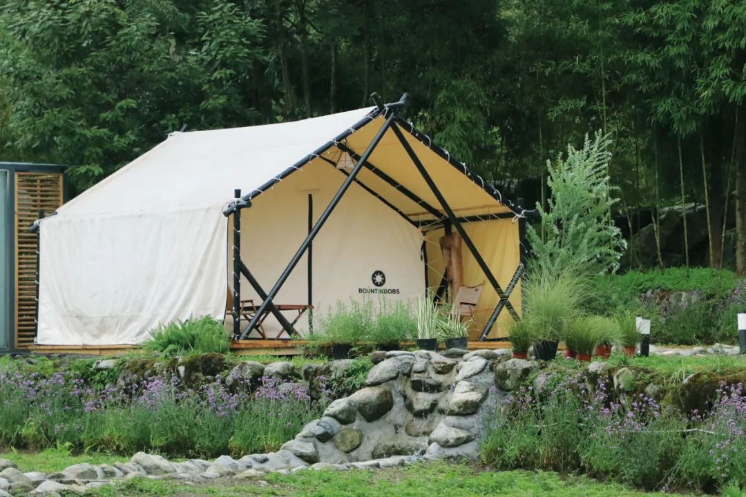 彭州太空舱营地,成都熊猫森林太空舱民宿