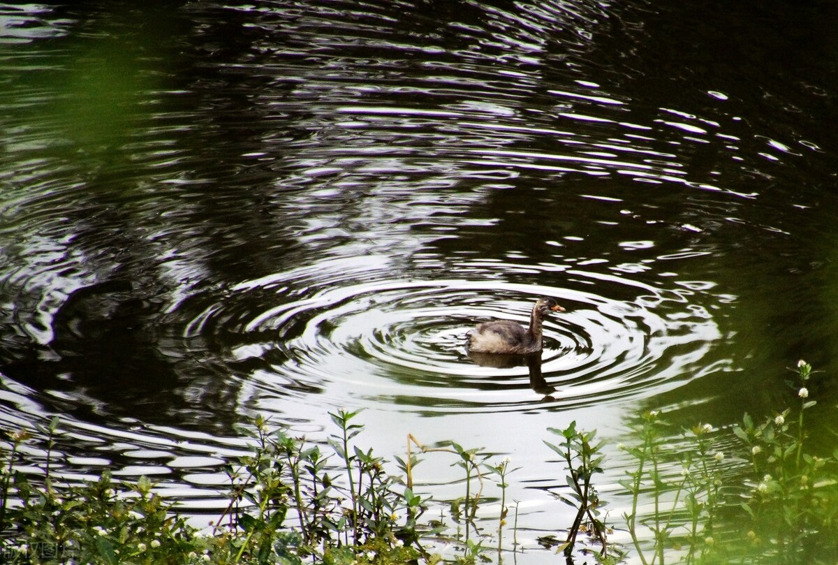云南的景点真的那么好看吗,云南超美的地方
