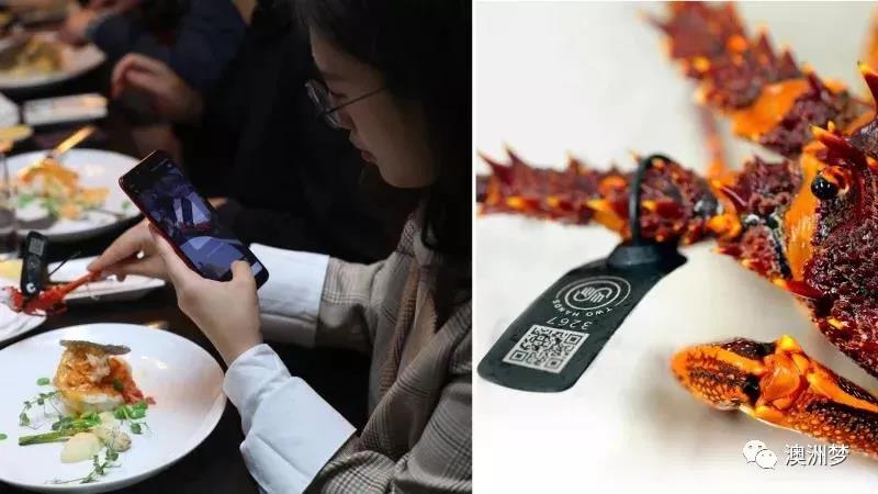 中国游客抵达日本品尝海鲜,中国吃货到国外