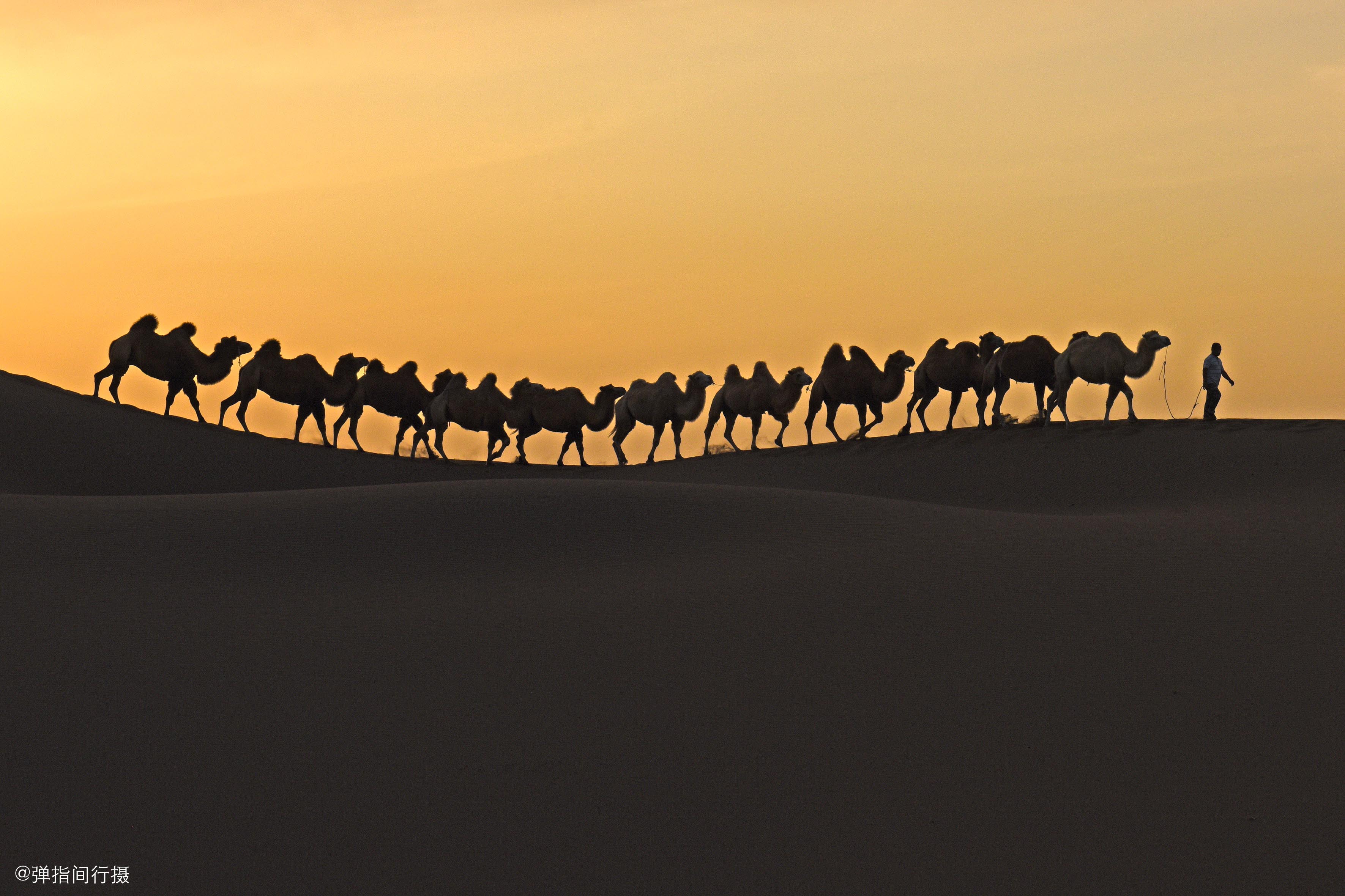 南疆神秘红沙漠简介,南疆第一大沙漠