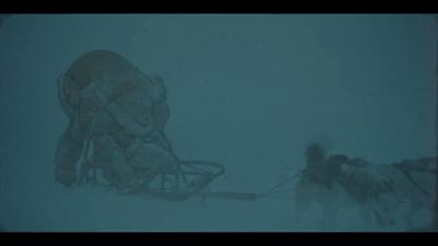 可怕的恶犬电影,伤害小狗电影