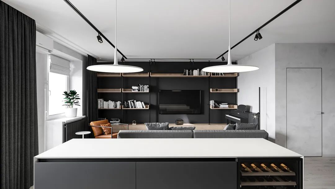 现代简约风格高级感植物,黑白灰现代简约风格绿植搭配