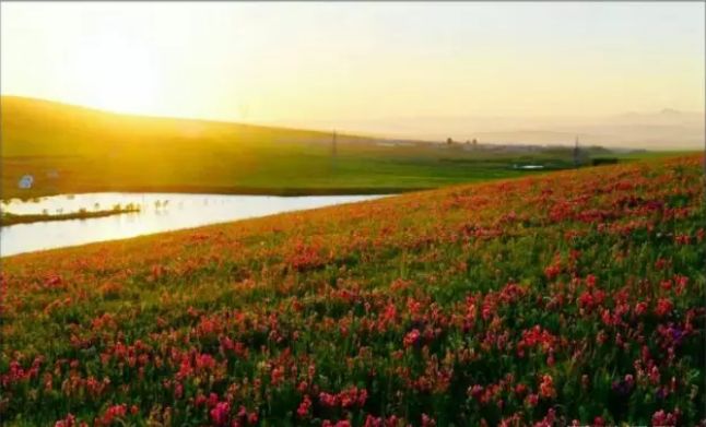 通辽好玩的景点排行榜,通辽霍林河景色