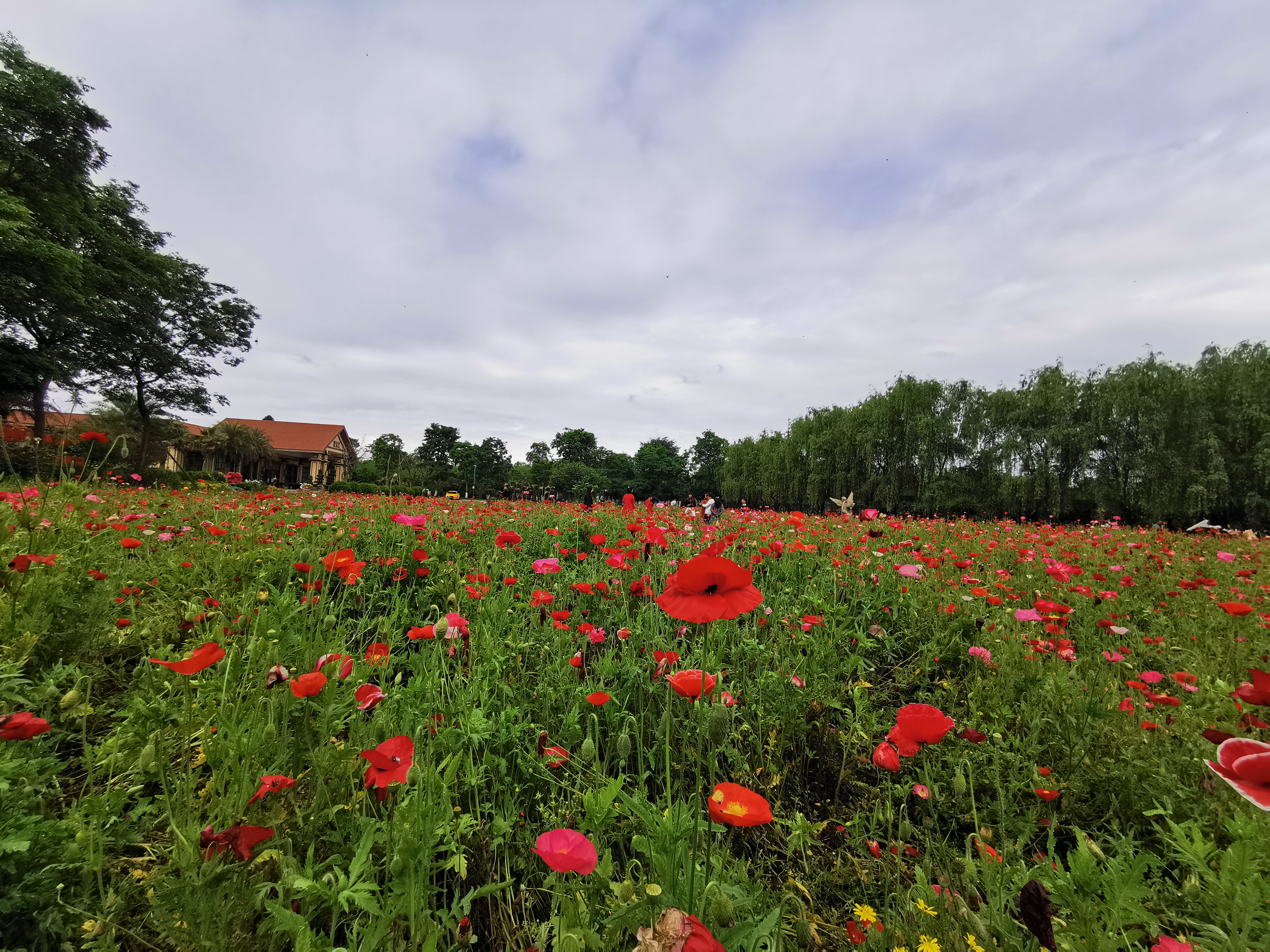 什邡花坞御景园门票多少钱一张,2022什邡花坞御景园