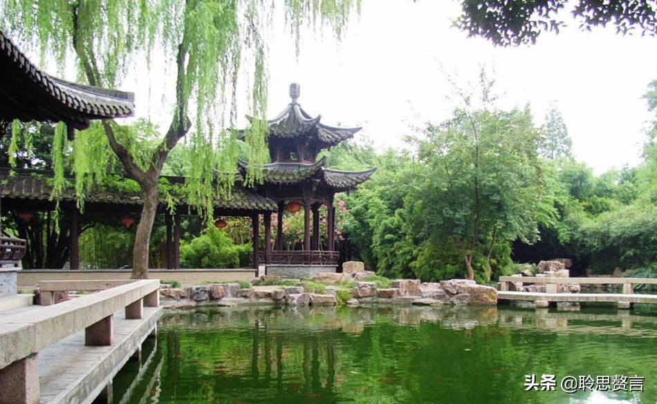 读苏东坡传写读书笔记,读诵苏东坡诗词