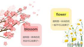 樱花盛开用英文怎么说,樱花烂漫用日语怎么说