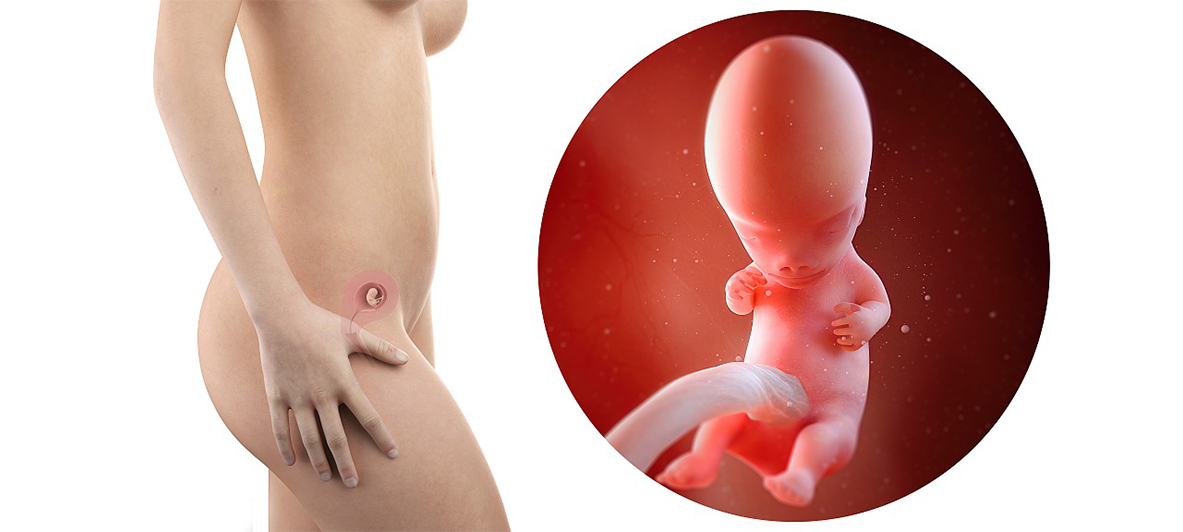 孕7周胚胎发育缓慢怎样才能更好,胎教0-6个月完整版