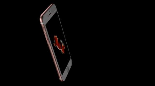 女大学生捐卵出事,女大学生捐卵成功