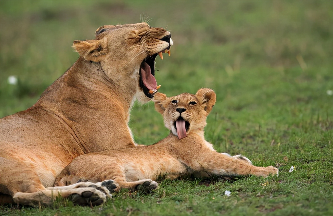 天庭饱满有福相有科学依据吗,天庭饱满是不是30岁就有福气
