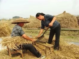 乡情散文故乡的老屋,乡情散文致敬当年的下乡知青