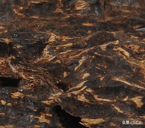 比黄金贵的木头沉香,沉香木比黄金贵