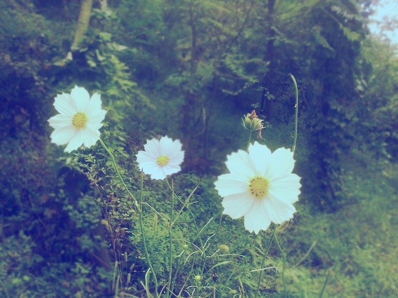 珍惜人生经典美文,情感美文让一段时光可以留住岁月