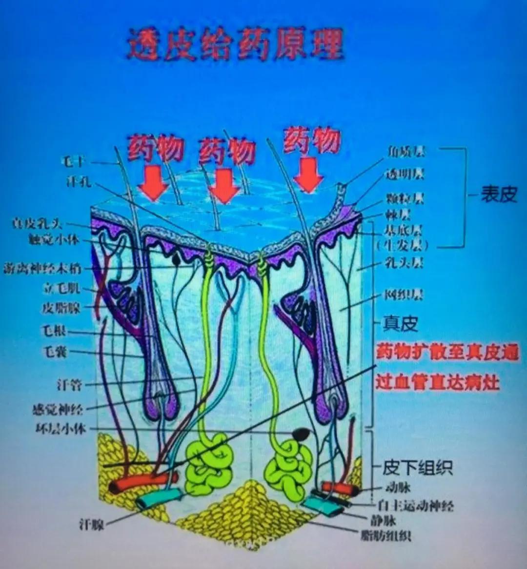 张浦最新消息,张浦要腾飞了