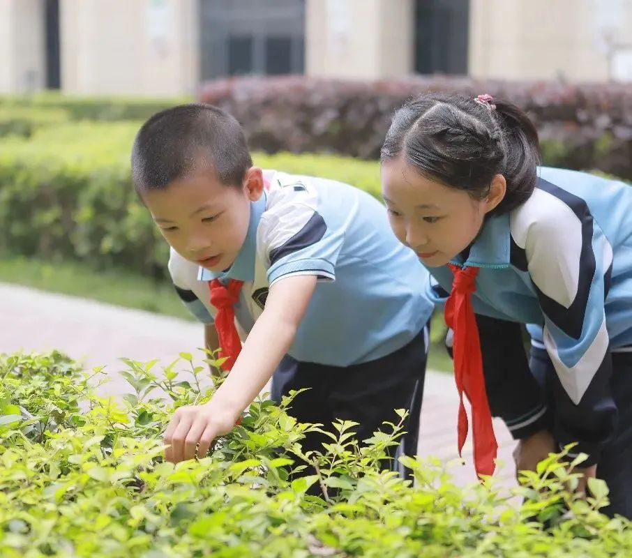 定制校服面料的选择,透气校服面料怎么选