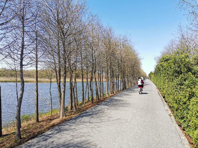 崇明岛东滩湿地公园附近美食,崇明岛东滩湿地公园