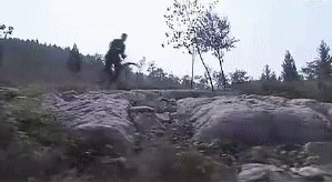 解放日报专题报道,解放日报原文