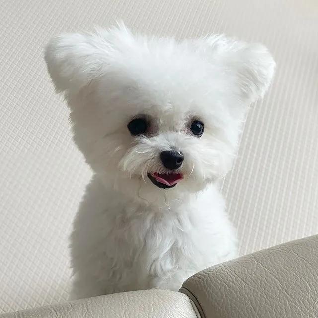 拿什么方式减压,有什么最好的减压方法