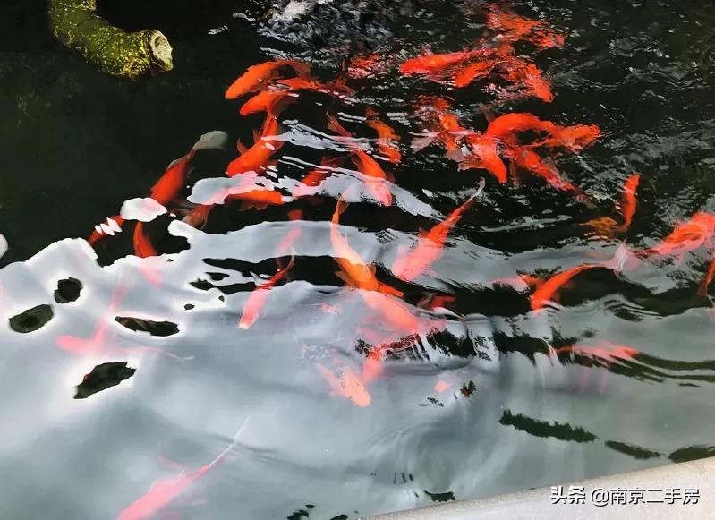 2019年以前的老破小学区房,破旧学区房逆袭70平变双卫住六人